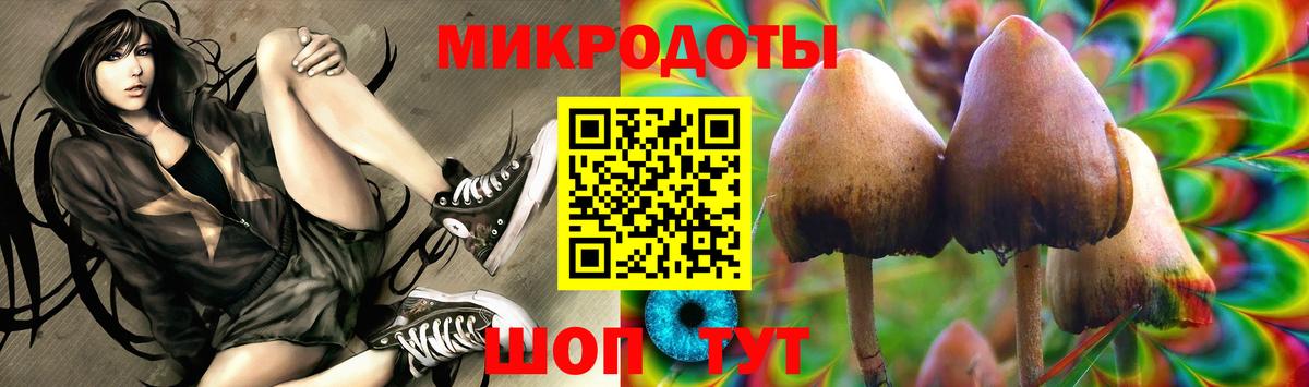Галлюциногенные грибы Psilocybe  Галлюциногенные грибы мицелий  Вход с VPN  Полысаево 